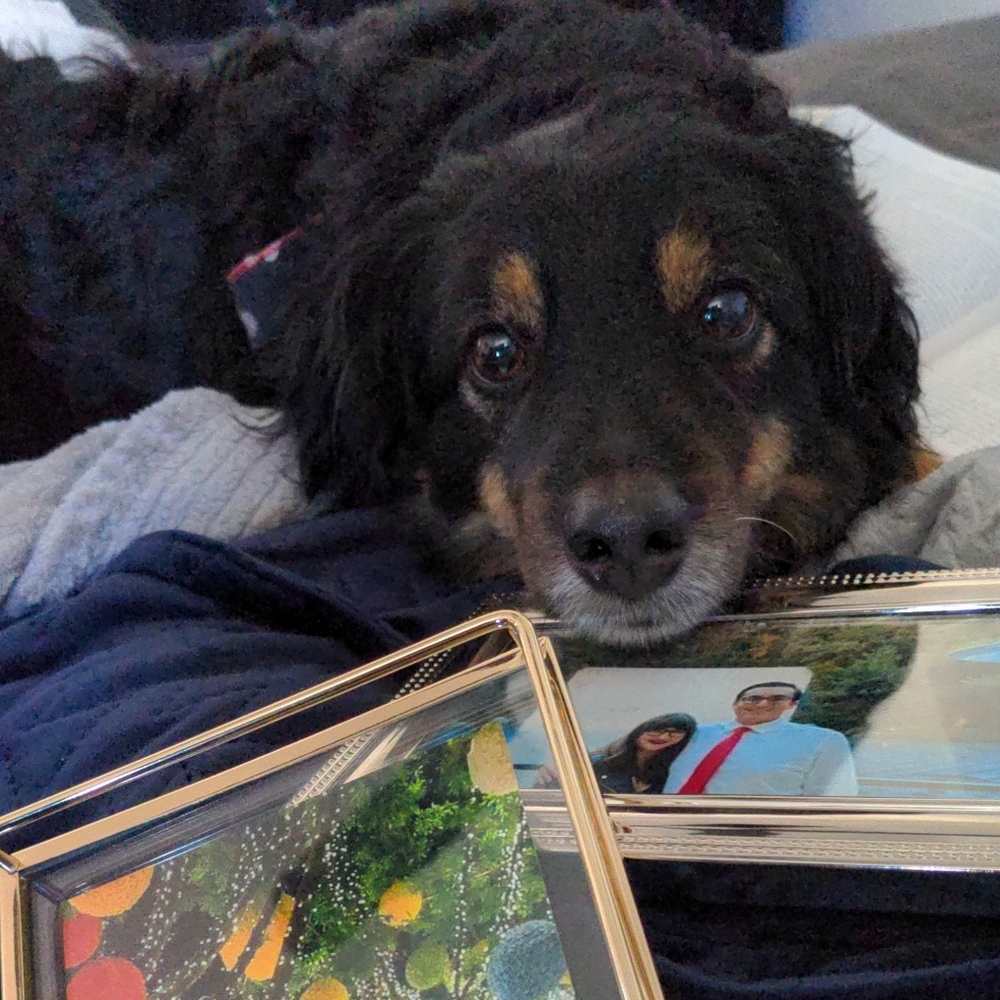 Meet your Posher, Jessica